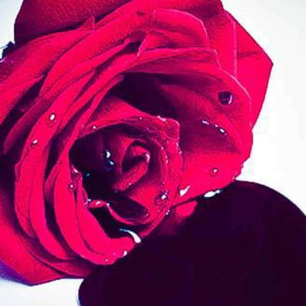 Meet your Posher, Ayden